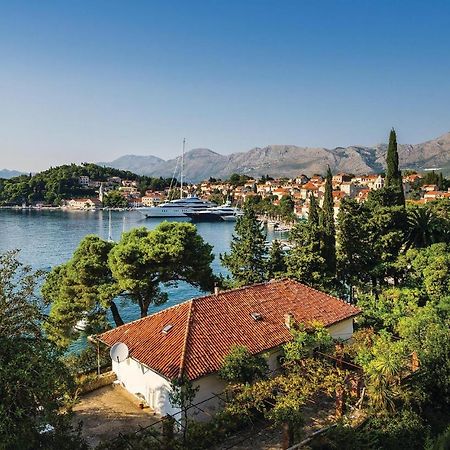 Nice Apartment In Cavtat With Wifi Dış mekan fotoğraf